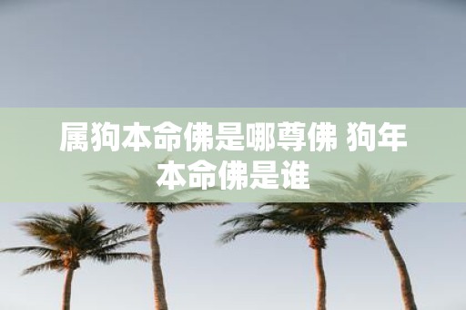 属狗本命佛是哪尊佛 狗年本命佛是谁