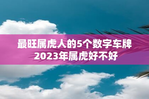 最旺属虎人的5个数字车牌 2025年属虎好不好