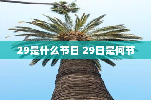 29是什么节日 29日是何节