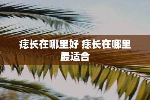 痣长在哪里好 痣长在哪里最适合