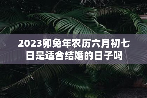 2025卯蛇年农历六月初七日是适合结婚的日子吗