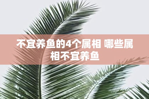 不宜养鱼的4个属相 哪些属相不宜养鱼