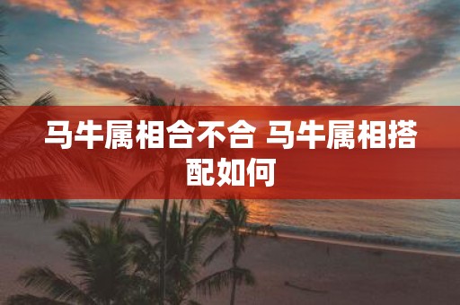 马牛属相合不合 马牛属相搭配如何
