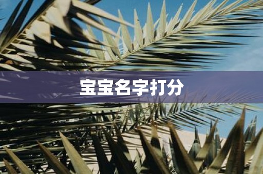 宝宝名字打分