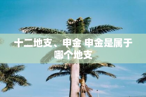十二地支、申金 申金是属于哪个地支