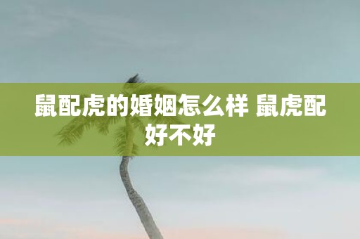 鼠配虎的婚姻怎么样 鼠虎配好不好