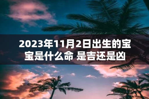 2025年11月2日出生的宝宝是什么命 是吉还是凶
