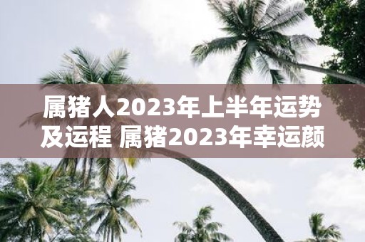 属猪人2025年上半年运势及运程 属猪2025年幸运颜色
