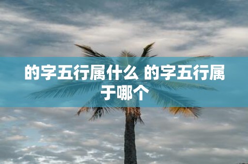 的字五行属什么 的字五行属于哪个