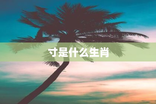 寸是什么生肖