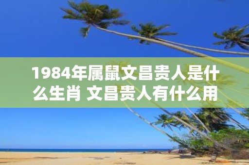 1984年属鼠文昌贵人是什么生肖 文昌贵人有什么用