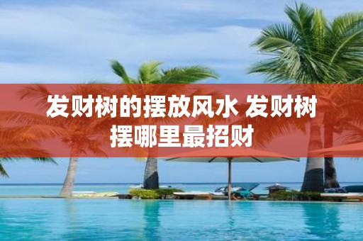 发财树的摆放风水 发财树摆哪里最招财