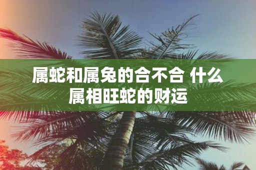 属蛇和属兔的合不合 什么属相旺蛇的财运
