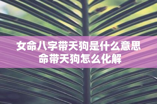 女命八字带天狗是什么意思 命带天狗怎么化解