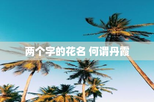 两个字的花名 何谓丹霞