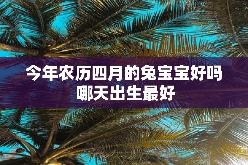 今年农历四月的兔宝宝好吗 哪天出生最好
