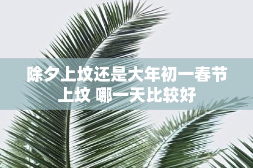 除夕上坟还是大年初一春节上坟 哪一天比较好