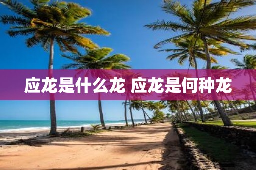 应龙是什么龙 应龙是何种龙