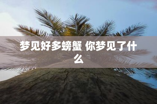 梦见好多螃蟹 你梦见了什么