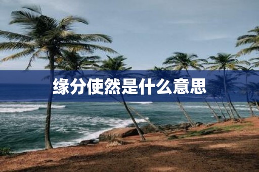 缘分使然是什么意思