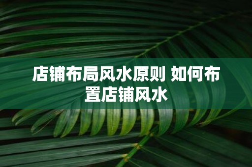店铺布局风水原则 如何布置店铺风水
