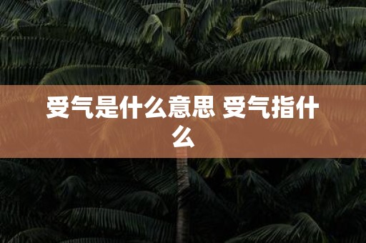 受气是什么意思 受气指什么