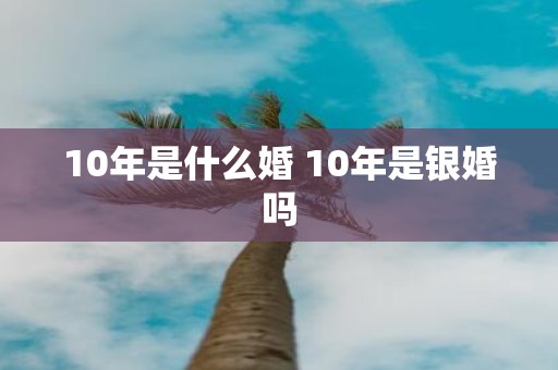10年是什么婚 10年是银婚吗