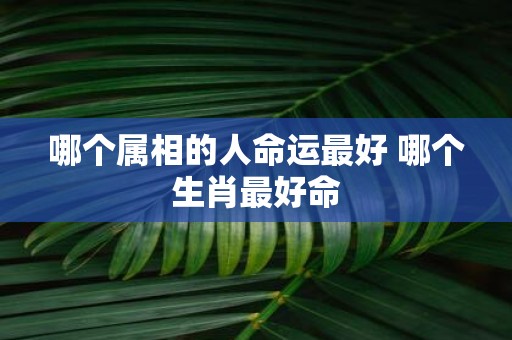 哪个属相的人命运最好 哪个生肖最好命