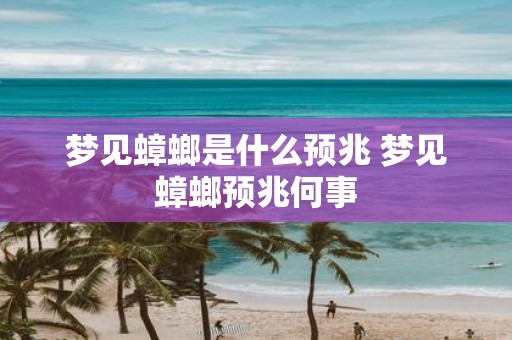梦见蟑螂是什么预兆 梦见蟑螂预兆何事