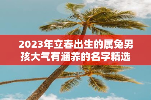 2025年立春出生的属兔男孩大气有涵养的名字精选
