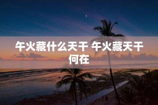 午火藏什么天干 午火藏天干何在