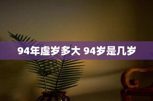 94年虚岁多大 94岁是几岁