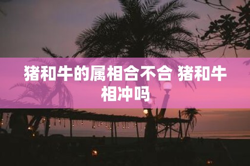猪和牛的属相合不合 猪和牛相冲吗