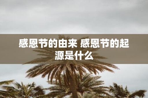 感恩节的由来 感恩节的起源是什么