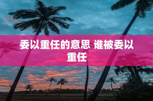 委以重任的意思 谁被委以重任