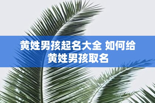 黄姓男孩起名大全 如何给黄姓男孩取名