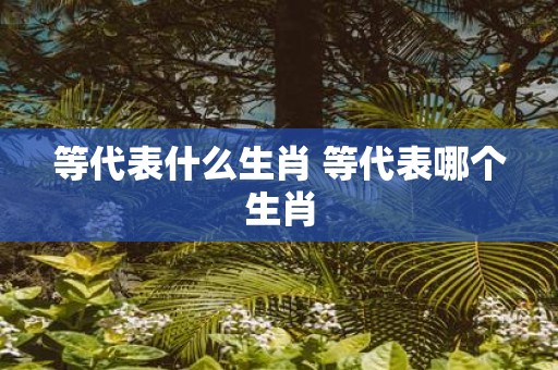 等代表什么生肖 等代表哪个生肖