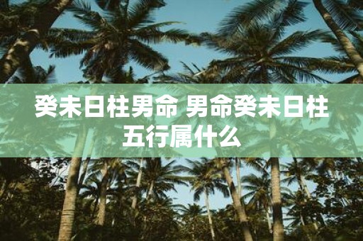 癸未日柱男命 男命癸未日柱五行属什么