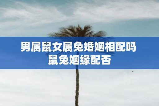 男属鼠女属兔婚姻相配吗 鼠兔姻缘配否