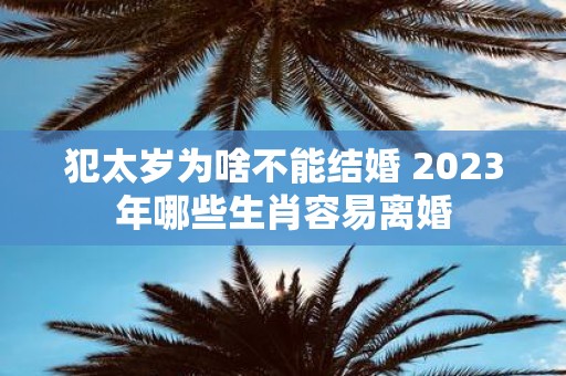 犯太岁为啥不能结婚 2025年哪些生肖容易离婚