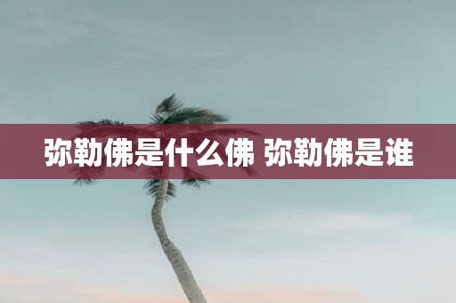 弥勒佛是什么佛 弥勒佛是谁