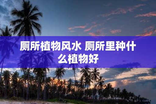 厕所植物风水 厕所里种什么植物好