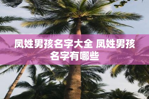 凤姓男孩名字大全 凤姓男孩名字有哪些