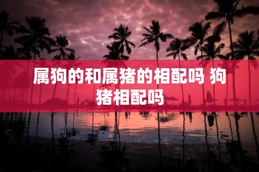 属狗的和属猪的相配吗 狗猪相配吗
