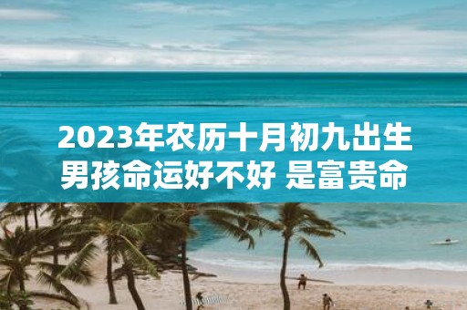 2025年农历十月初九出生男孩命运好不好 是富贵命吗