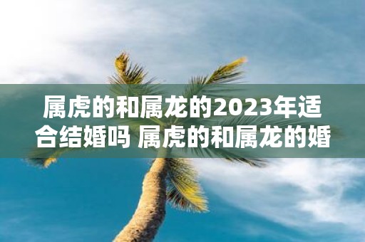 属虎的和属龙的2025年适合结婚吗 属虎的和属龙的婚姻般配吗