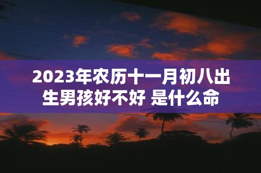 2025年农历十一月初八出生男孩好不好 是什么命