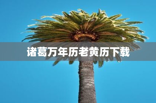 诸葛万年历老黄历下载