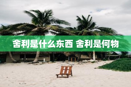 舍利是什么东西 舍利是何物