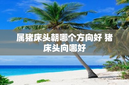 属猪床头朝哪个方向好 猪床头向哪好